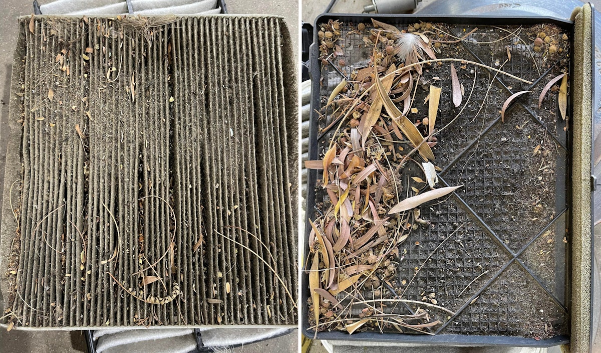 Two more filthy cabin air filters - not exactly healthy breathing